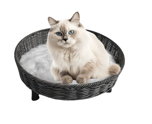 Morden Style Artificial Rattan Pet Furniture Fashion Indoor Pet Bed Dog Bed House Waterproof