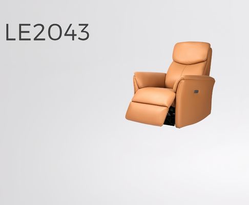 Living Room Modern Electric Power Lift Chair Single Lazy Boy Adjustable Relax