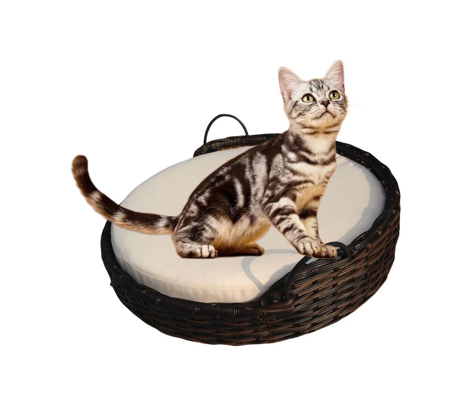 Swing Rattan Hanging Pet Bed PP Natural Woven Wicker Dog Cat Animal Sleeping House Baskets Outdoor Indoor